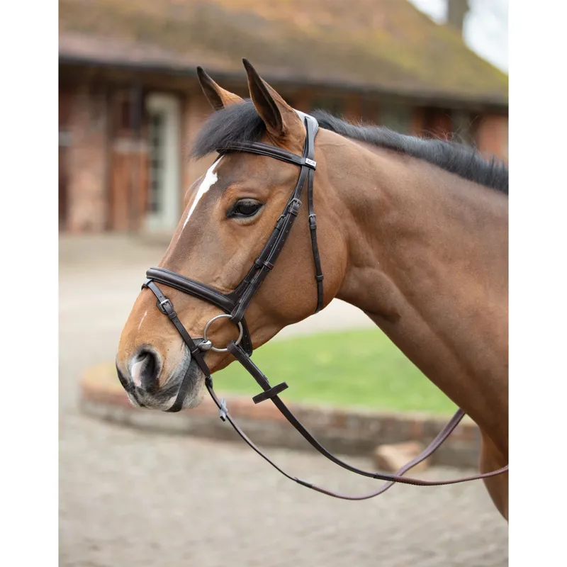 Mark Todd Cut Away Bridle Full - Havana